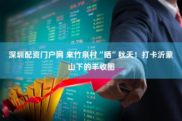 深圳配资门户网 来竹泉村“晒”秋天！打卡沂蒙山下的丰收图